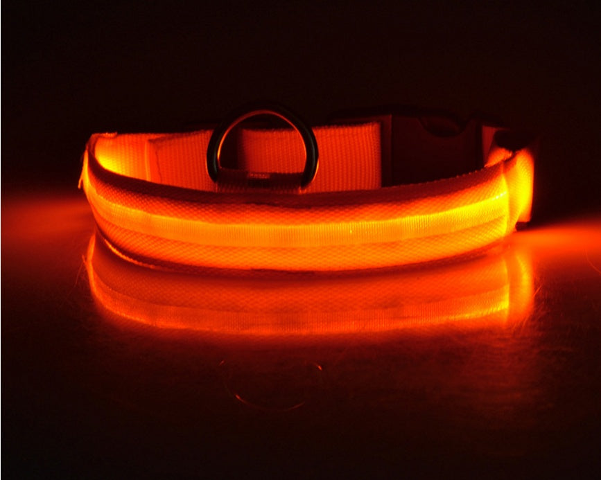 Collier lumineux LED pour chien et chat – Sécurité nocturne, réglable et rechargeable