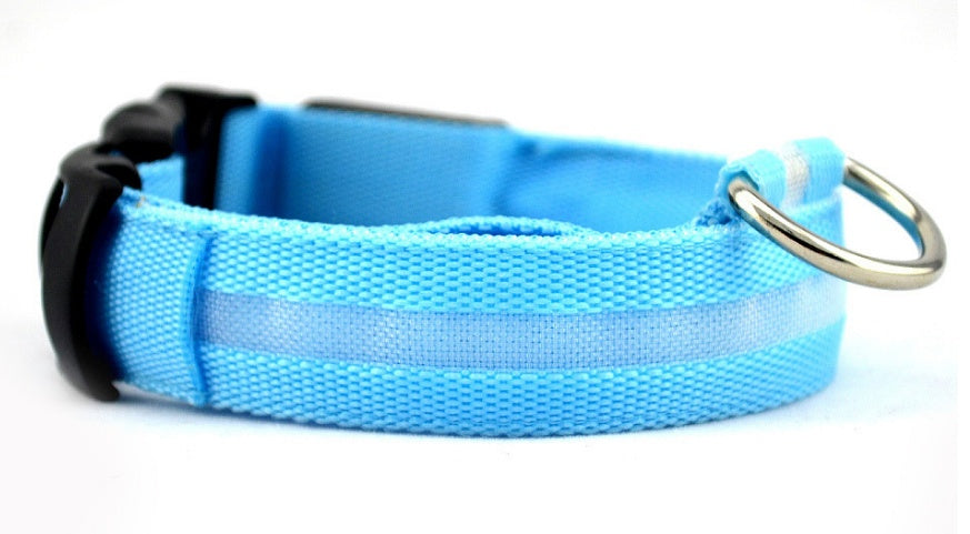 Collier lumineux LED pour chien et chat – Sécurité nocturne, réglable et rechargeable
