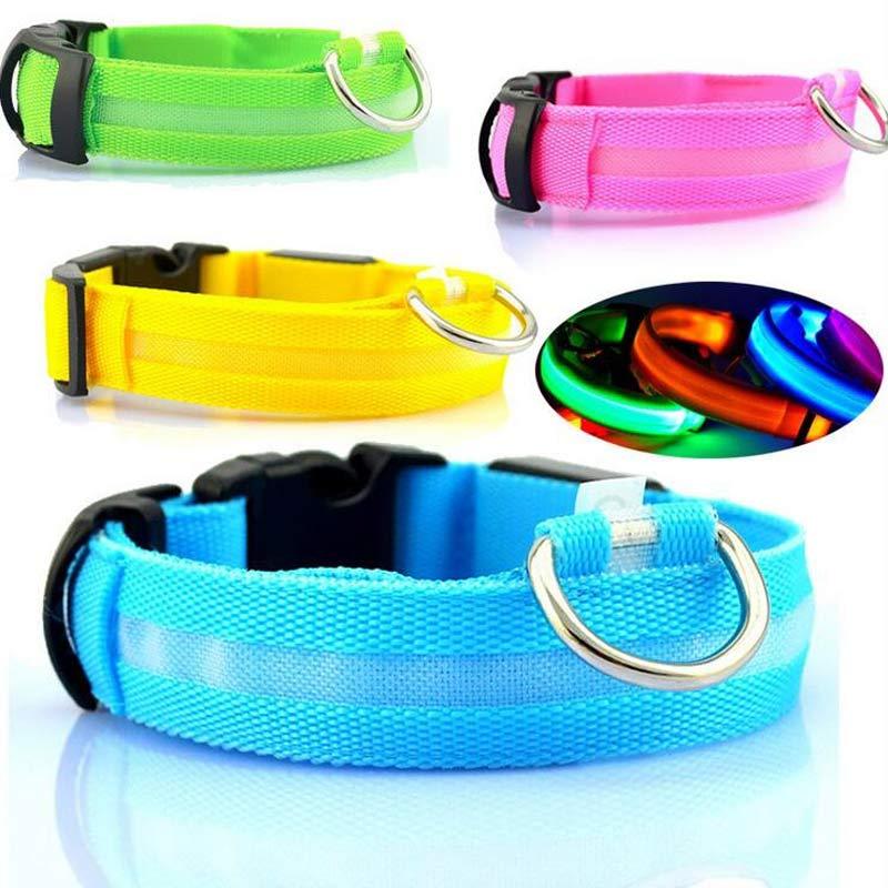 Collier lumineux LED pour chien et chat – Sécurité nocturne, réglable et rechargeable