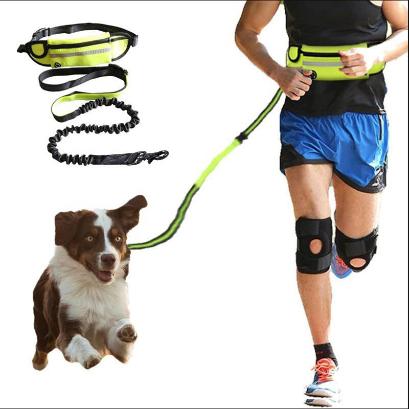 Ceinture Laisse Main Libre pour Chien – Harnais Réfléchissant avec Poche Étanche, Ajustable 28" à 48", Sangles et D-Rings Robustes, Laisse Élastique 100-135 cm pour Course et Marche