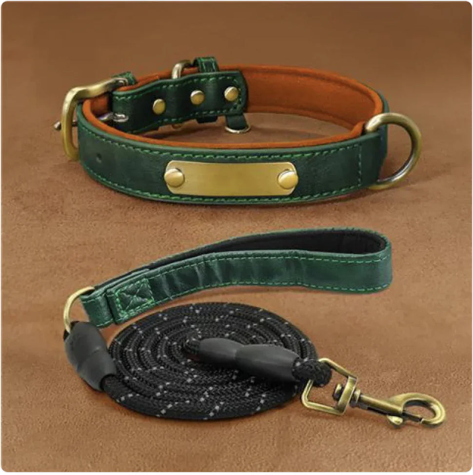 Collier pour Chien Gravé Personnalisé – Design Anti-Perte
