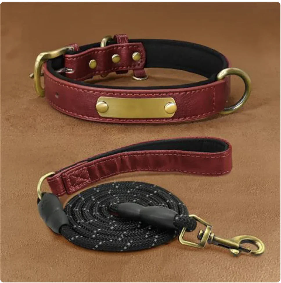 Collier pour Chien Gravé Personnalisé – Design Anti-Perte