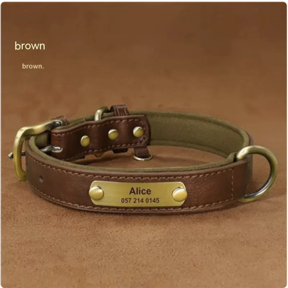 Collier pour Chien Gravé Personnalisé – Design Anti-Perte