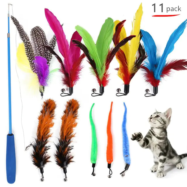 Jouet à Plume Rétractable pour Chats d'Intérieur