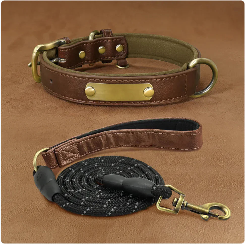 Collier pour Chien Gravé Personnalisé – Design Anti-Perte