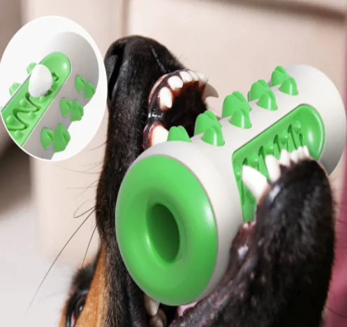 Jouet à mâcher pour Chiens, Brosse à Dents Molaire