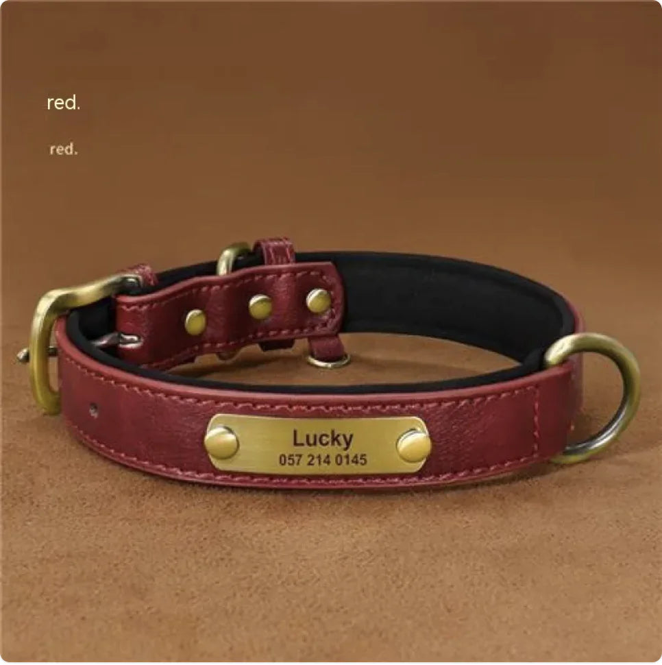 Collier pour Chien Gravé Personnalisé – Design Anti-Perte