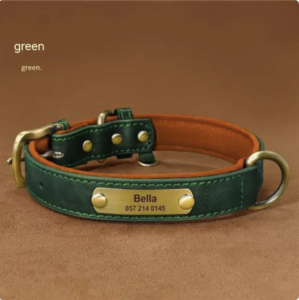 Collier pour Chien Gravé Personnalisé – Design Anti-Perte