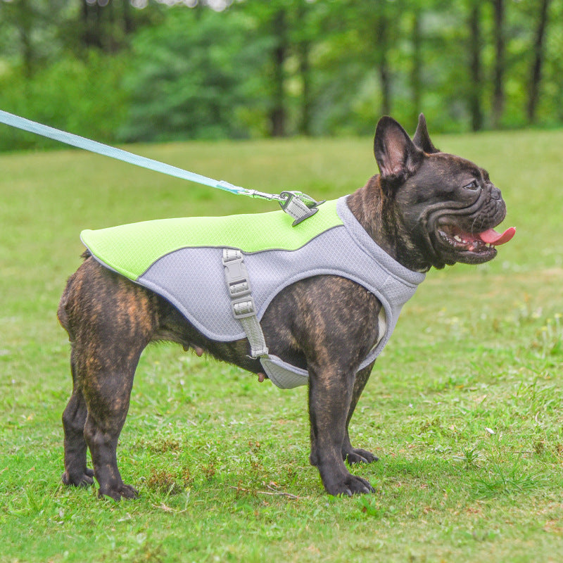 Gilet Rafraîchissant pour Chien – Anti-UV, Respirant et Résistant – Veste Fraîcheur Été pour Petit, Moyen et Grand Chien – Disponible en 6 Tailles et 4 Couleurs