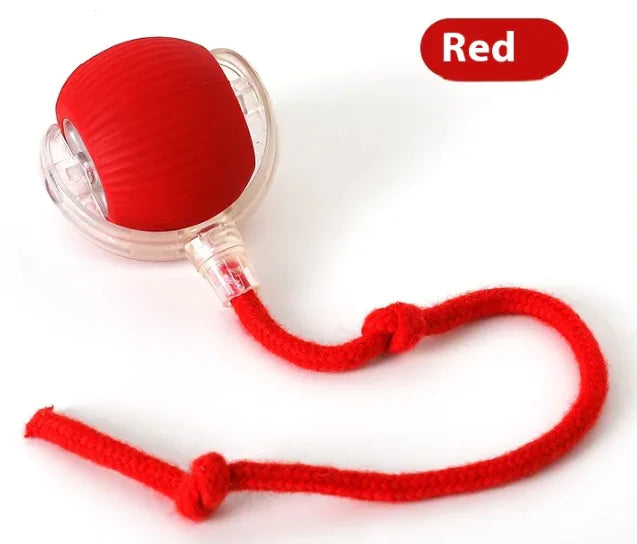 Balle de jeu interactive pour chat