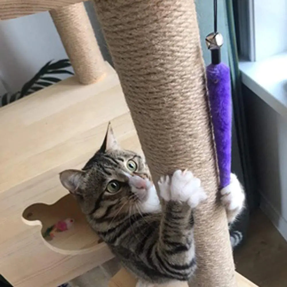 Jouet à Plume Rétractable pour Chats d'Intérieur