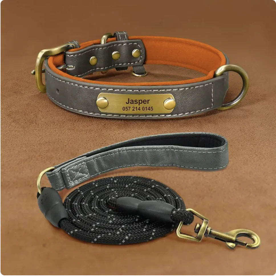 Collier pour Chien Gravé Personnalisé – Design Anti-Perte