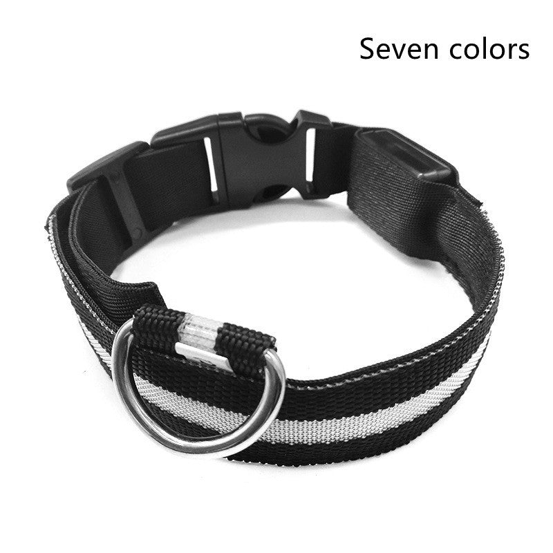 Collier lumineux LED pour chien et chat – Sécurité nocturne, réglable et rechargeable