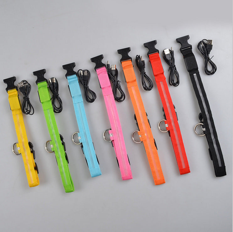 Collier lumineux LED pour chien et chat – Sécurité nocturne, réglable et rechargeable