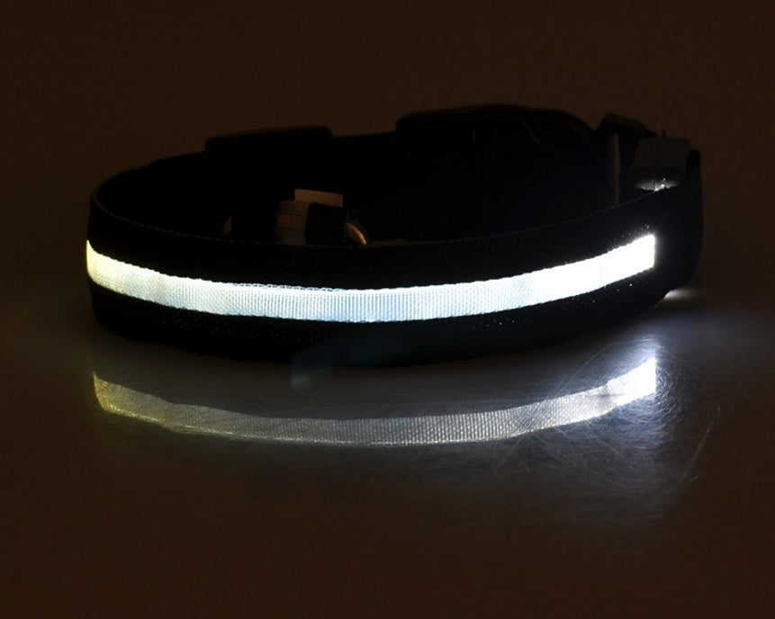 Collier lumineux LED pour chien et chat – Sécurité nocturne, réglable et rechargeable