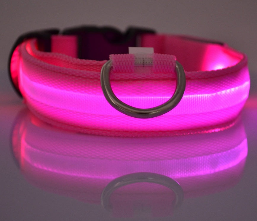 Collier lumineux LED pour chien et chat – Sécurité nocturne, réglable et rechargeable