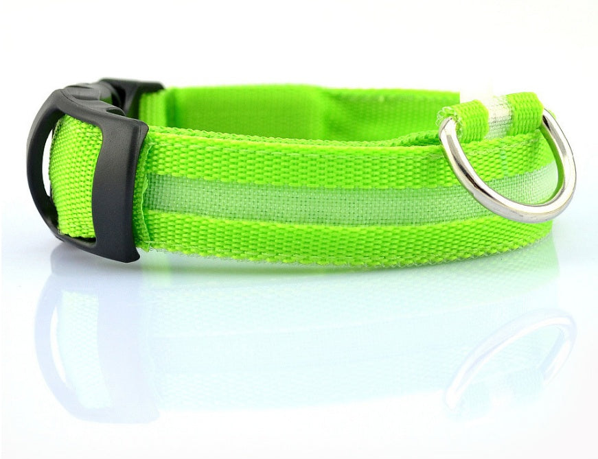 Collier lumineux LED pour chien et chat – Sécurité nocturne, réglable et rechargeable