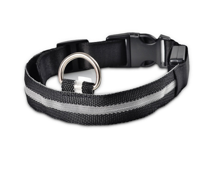 Collier lumineux LED pour chien et chat – Sécurité nocturne, réglable et rechargeable