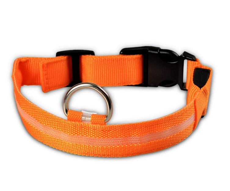 Collier lumineux LED pour chien et chat – Sécurité nocturne, réglable et rechargeable
