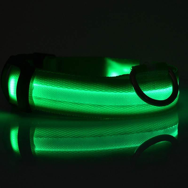 Collier lumineux LED pour chien et chat – Sécurité nocturne, réglable et rechargeable