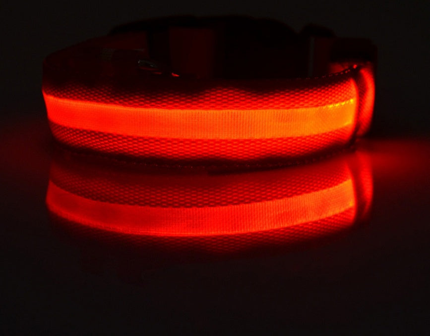 Collier lumineux LED pour chien et chat – Sécurité nocturne, réglable et rechargeable