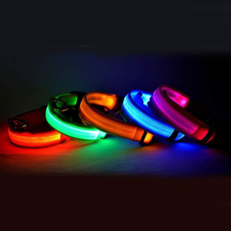Collier lumineux LED pour chien et chat – Sécurité nocturne, réglable et rechargeable