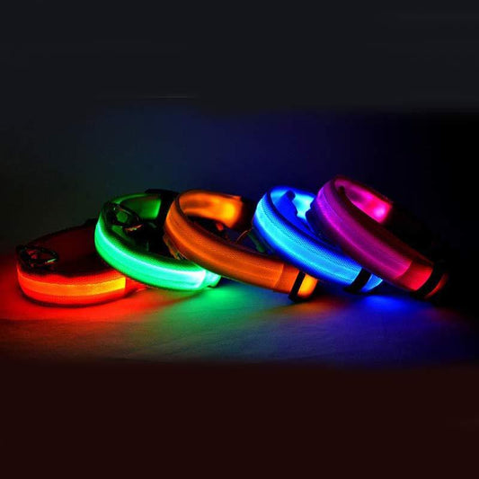 Collier lumineux LED pour chien et chat – Sécurité nocturne, réglable et rechargeable