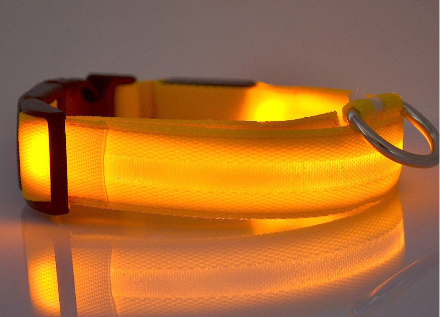 Collier lumineux LED pour chien et chat – Sécurité nocturne, réglable et rechargeable