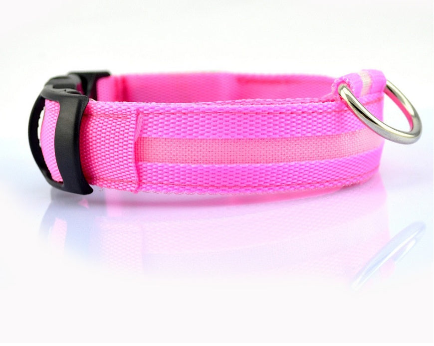 Collier lumineux LED pour chien et chat – Sécurité nocturne, réglable et rechargeable