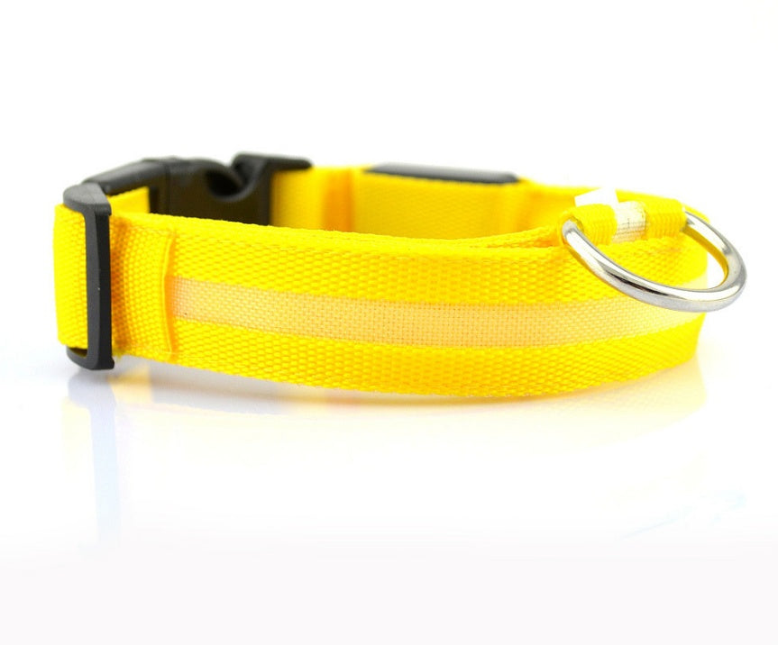 Collier lumineux LED pour chien et chat – Sécurité nocturne, réglable et rechargeable