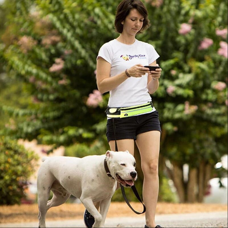 Ceinture Laisse Main Libre pour Chien – Harnais Réfléchissant avec Poche Étanche, Ajustable 28" à 48", Sangles et D-Rings Robustes, Laisse Élastique 100-135 cm pour Course et Marche