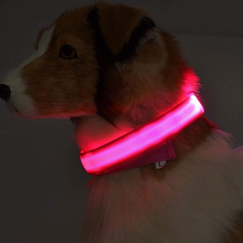 Collier lumineux LED pour chien et chat – Sécurité nocturne, réglable et rechargeable