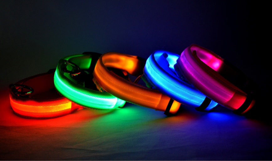 Collier lumineux LED pour chien et chat – Sécurité nocturne, réglable et rechargeable