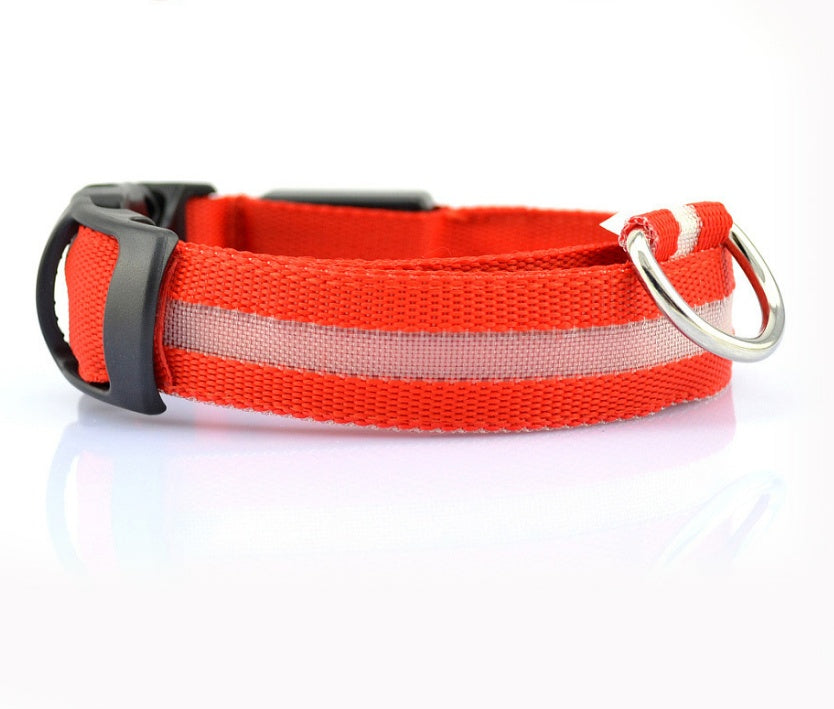 Collier lumineux LED pour chien et chat – Sécurité nocturne, réglable et rechargeable