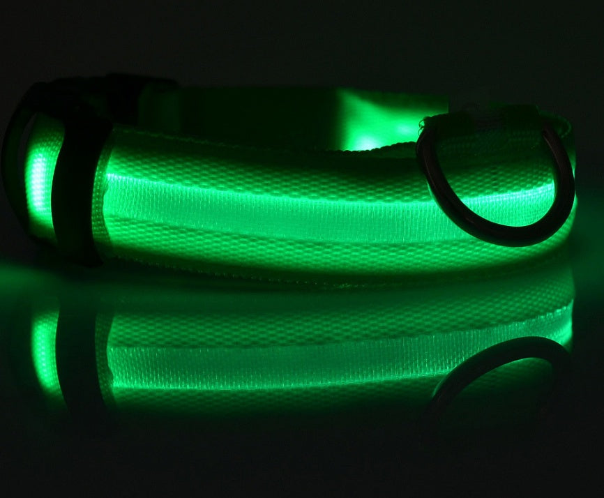 Collier lumineux LED pour chien et chat – Sécurité nocturne, réglable et rechargeable