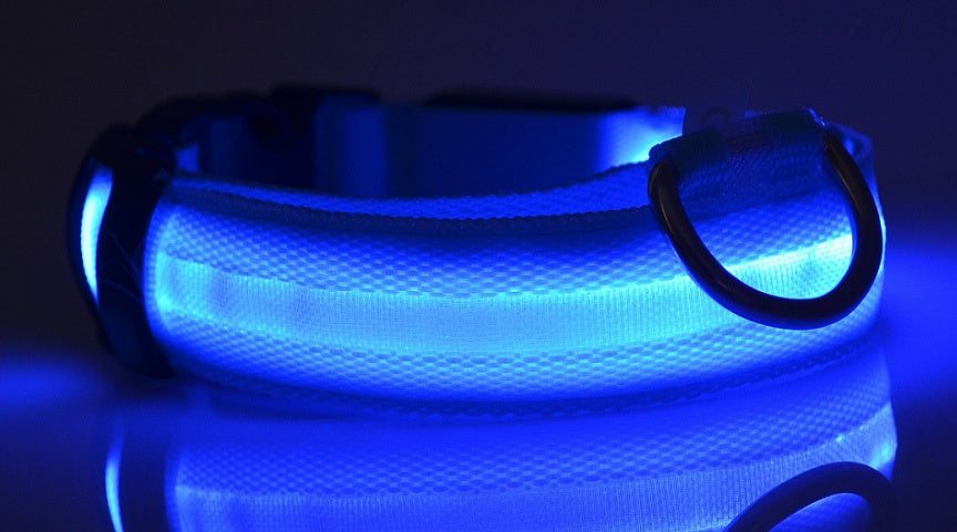 Collier lumineux LED pour chien et chat – Sécurité nocturne, réglable et rechargeable