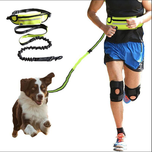 Ceinture Laisse Main Libre pour Chien – Harnais Réfléchissant avec Poche Étanche, Ajustable 28" à 48", Sangles et D-Rings Robustes, Laisse Élastique 100-135 cm pour Course et Marche