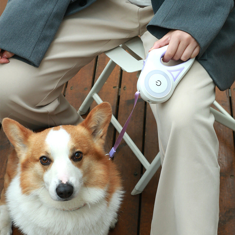 Retractable leash with light