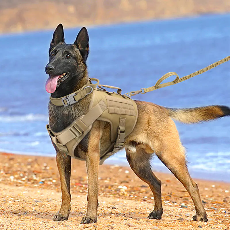 🦴 Harnais de Poitrine Tactics K9 – Confort et sécurité pour chien actif