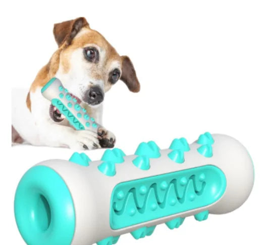 Jouet à mâcher pour Chiens, Brosse à Dents Molaire