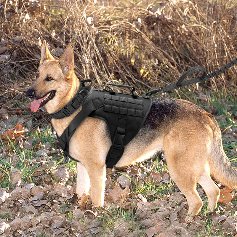 🦴 Harnais de Poitrine Tactics K9 – Confort et sécurité pour chien actif