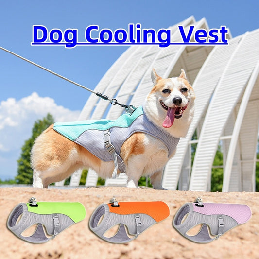 Gilet Rafraîchissant pour Chien – Anti-UV, Respirant et Résistant – Veste Fraîcheur Été pour Petit, Moyen et Grand Chien – Disponible en 6 Tailles et 4 Couleurs