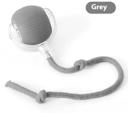 Balle de jeu interactive pour chat