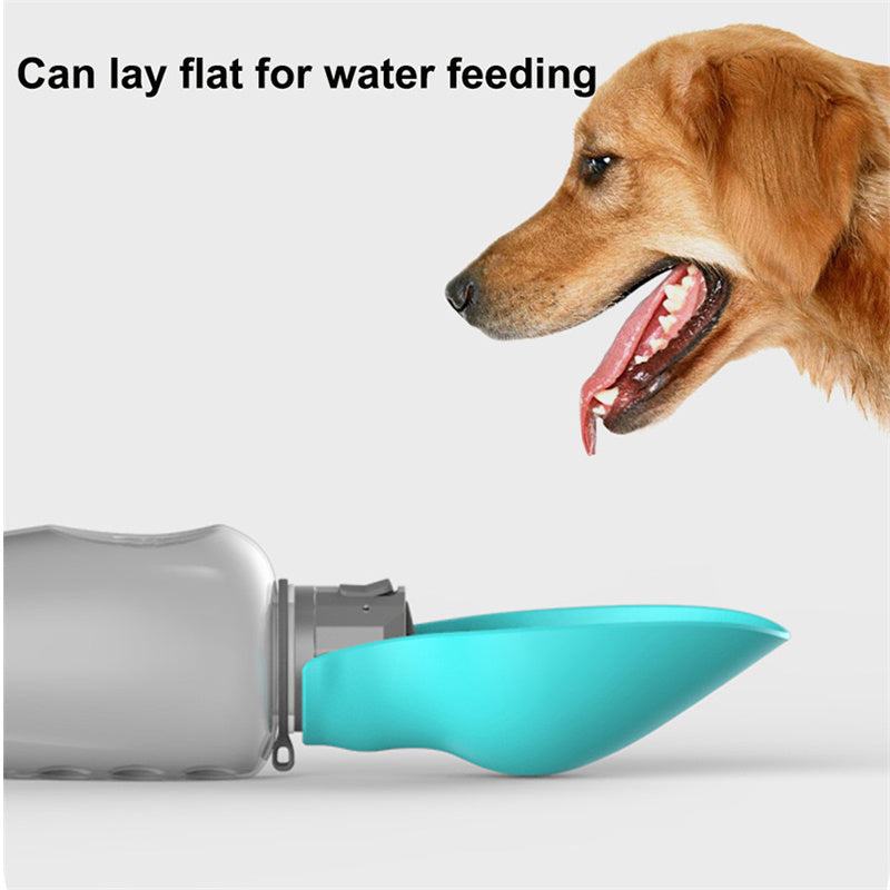 Bouteille d’eau portable Pattes et Câlins – Hydratation facile pour chien (800 ml, modèle Classique)
