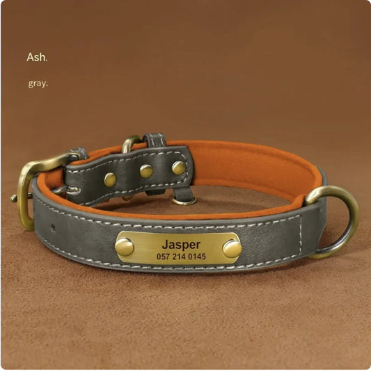 Collier pour Chien Gravé Personnalisé – Design Anti-Perte
